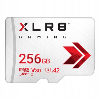 Karta pamięci MicroSDXC 256GB P-SDU256V32100XR-GE