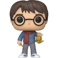 Funko POP! Figurka Harry Potter - Harry Potter i sowa